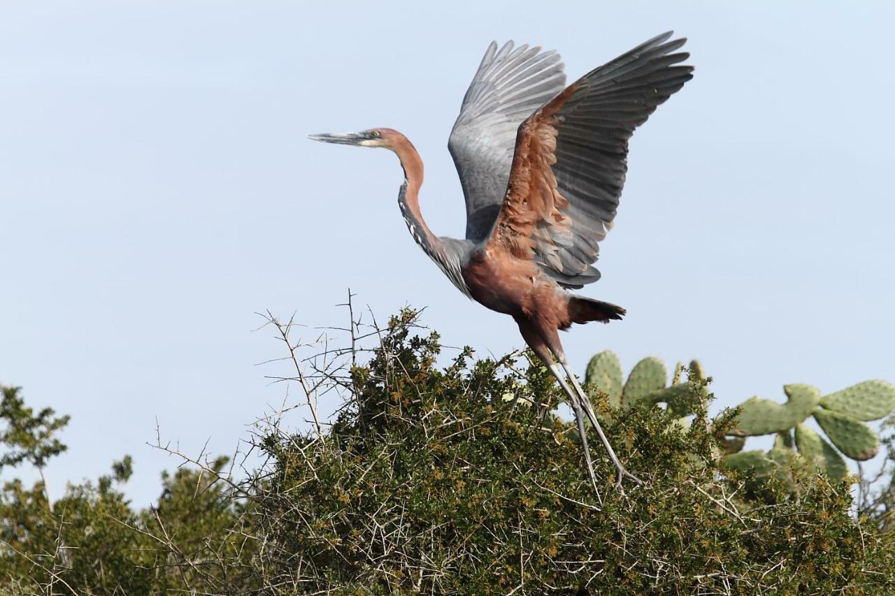 Addo Gateway Lodge コルチェスター エクステリア 写真